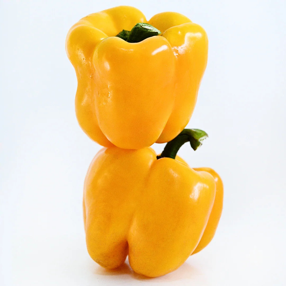 Sweet Pepper Seeds, Goldenmane Lion