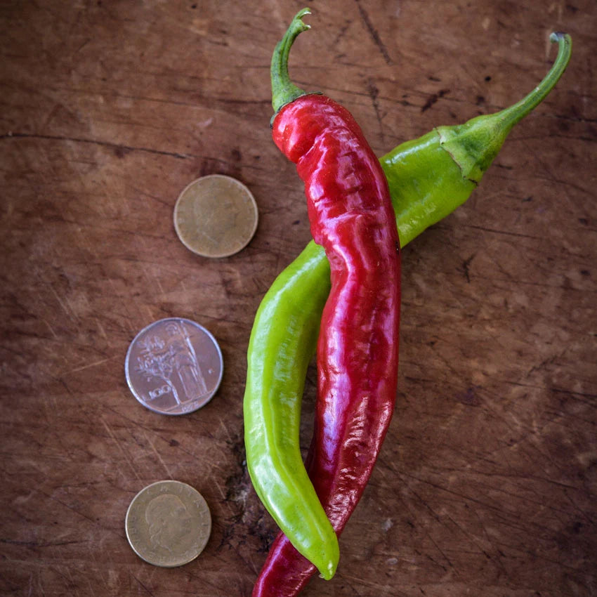 Sweet Pepper Jimmy Nardello Italian
