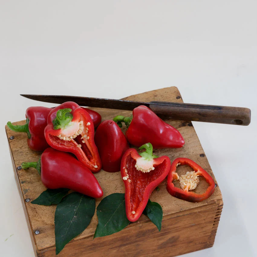 Sweet Pepper Lipstick