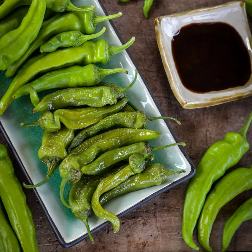 Sweet Pepper Manganji