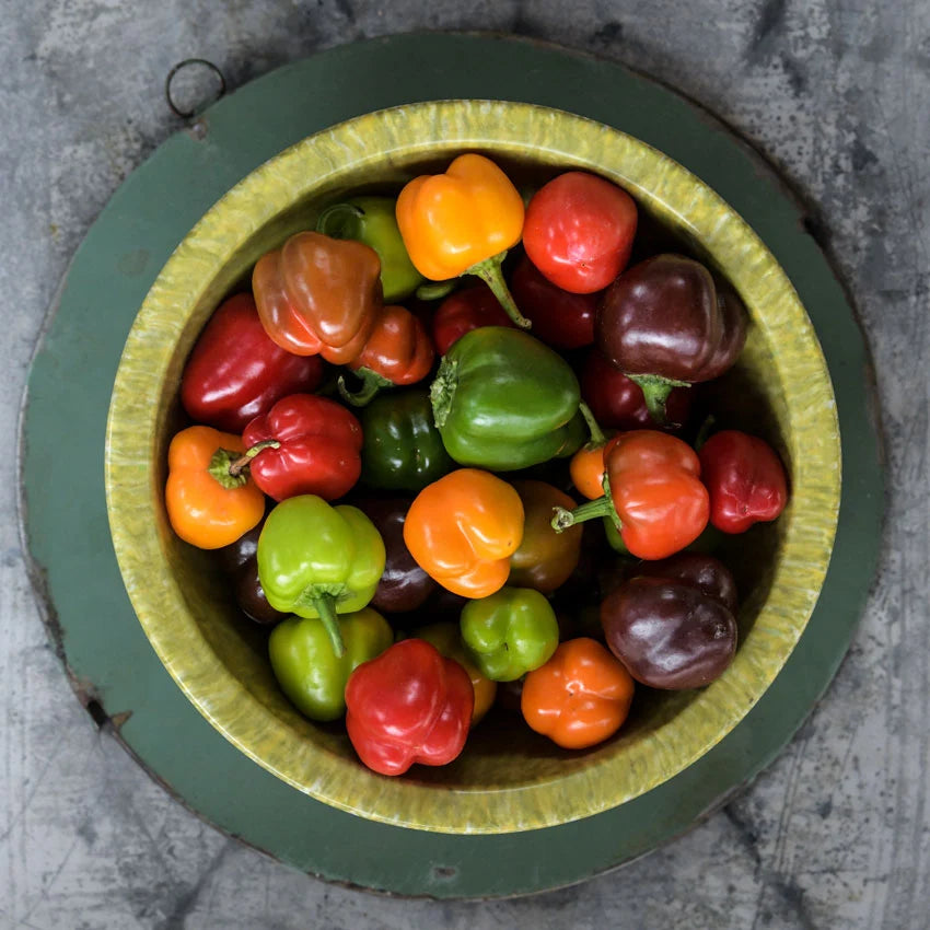 Sweet Pepper Mini Bell Mix