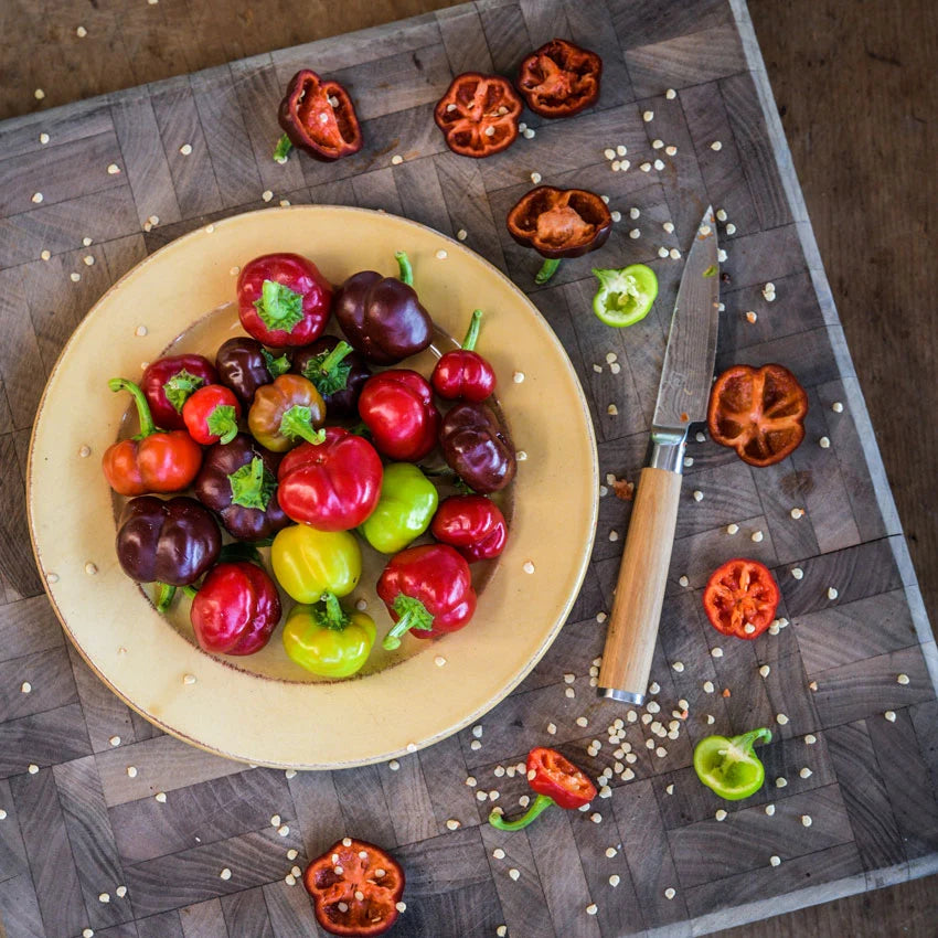 Sweet Pepper Mini Bell Mix