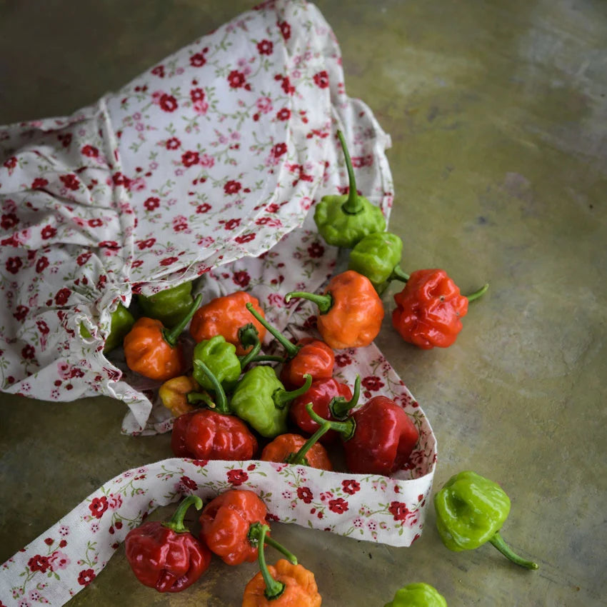 Sweet Pepper Sweet Bonnet