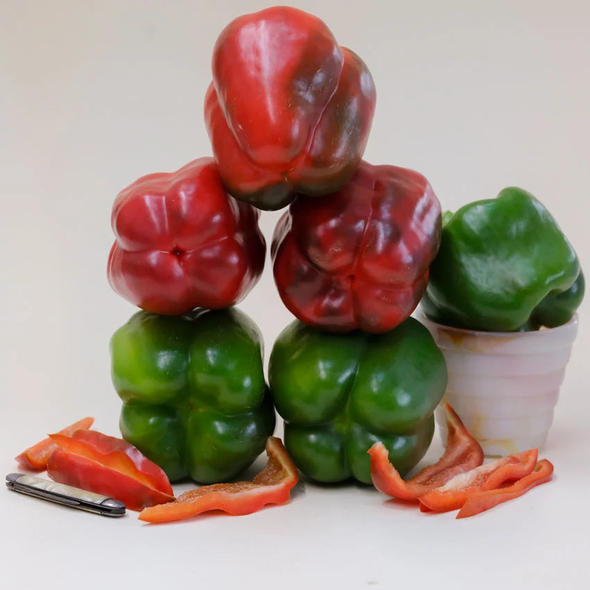 Sweet Pepper Bull Nose
