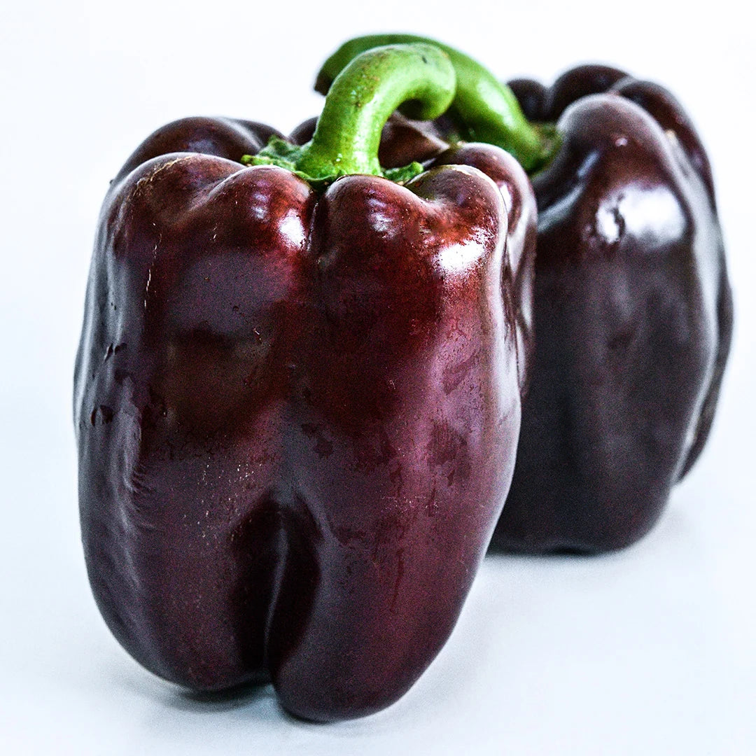 Sweet Pepper Chocolate Beauty