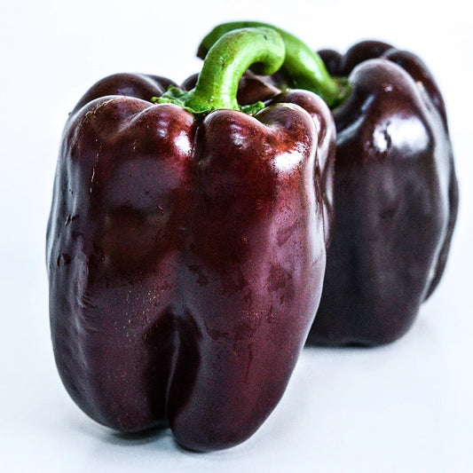 Sweet Pepper Chocolate Beauty