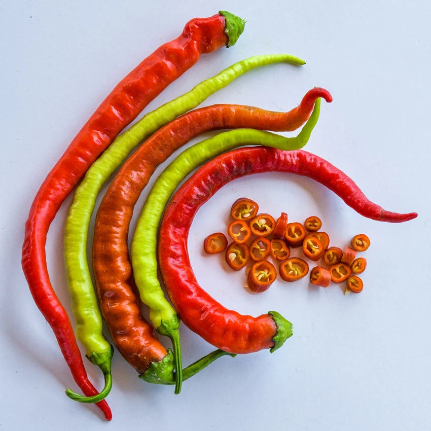 Sweet Pepper Corbaci