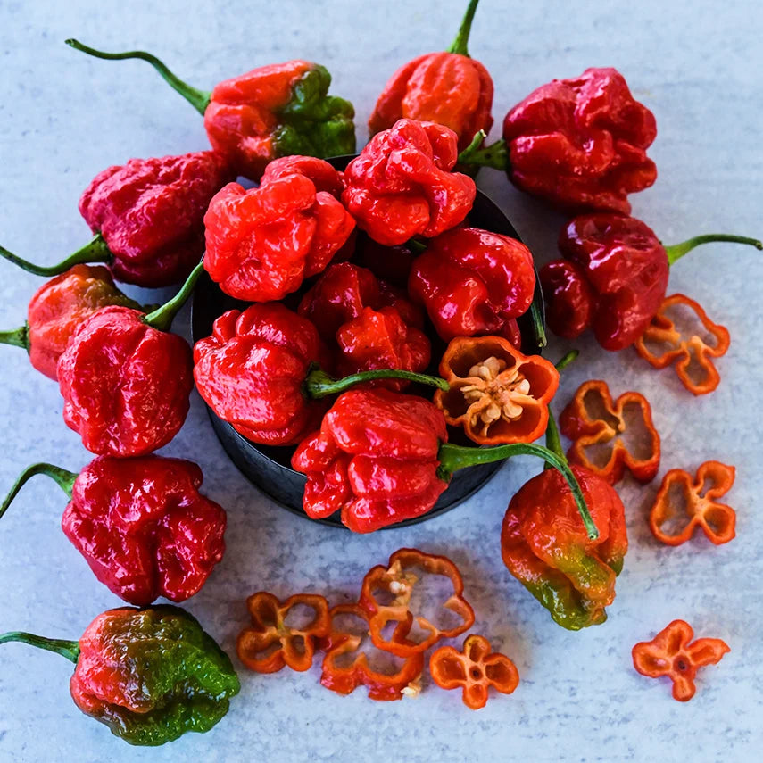Sweet Pepper Sweet Moruga