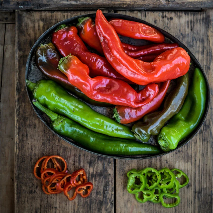 Sweet Pepper Txorixero