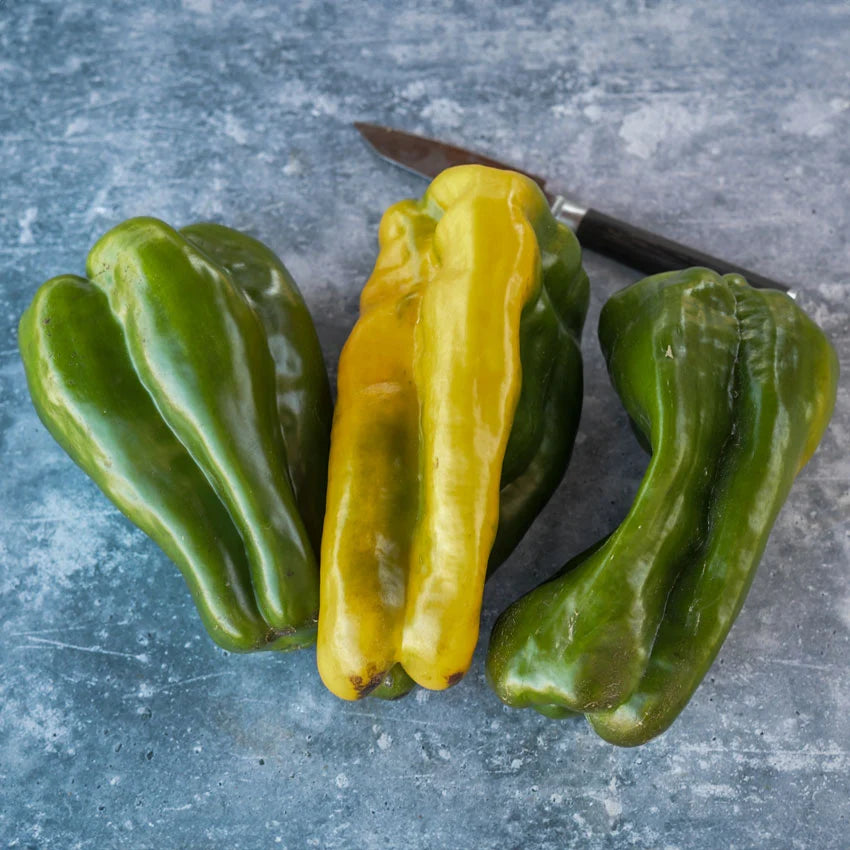PEPPER YELLOW MONSTER