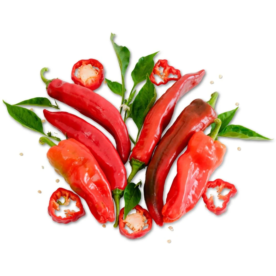 Hot Pepper Aleppo