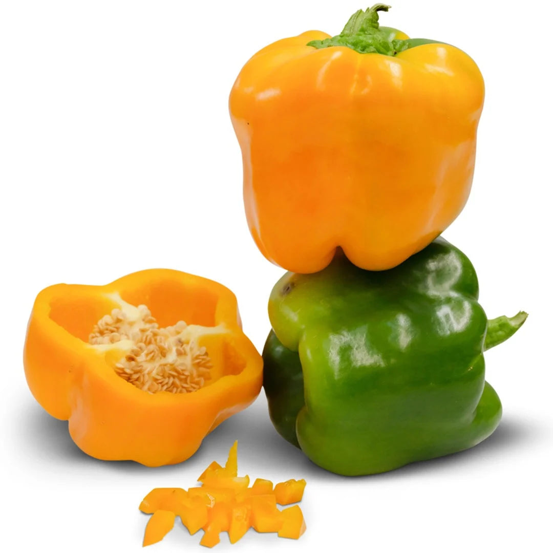 Sweet Pepper Canary Bell