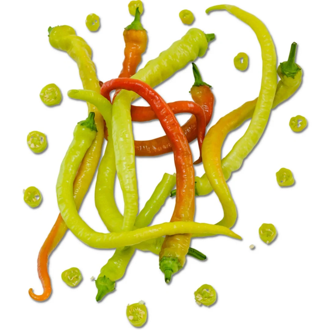 Sweet Pepper Corbaci