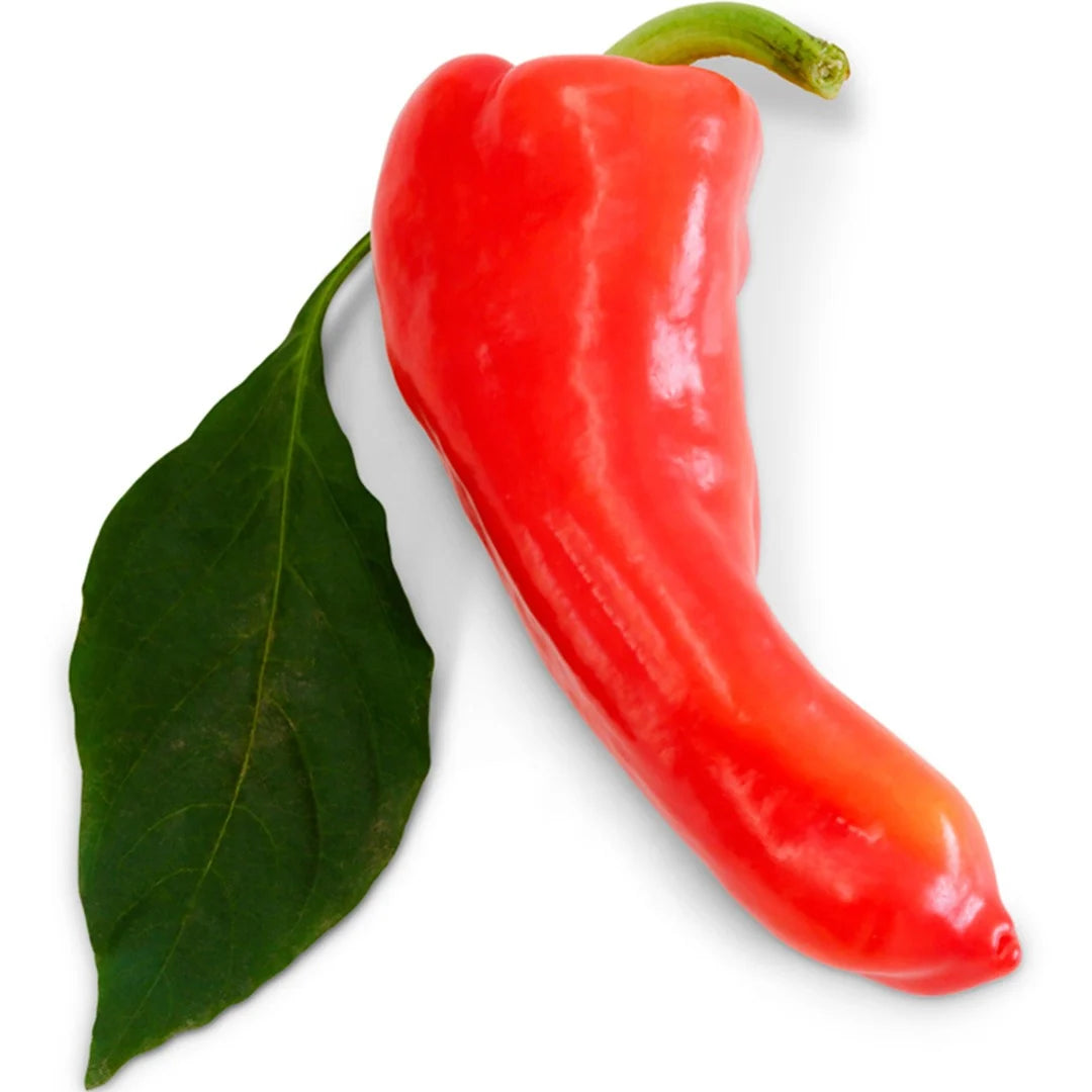 Sweet Pepper Giant Aconcagua