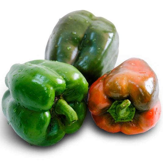 Sweet Pepper Ozark Giant