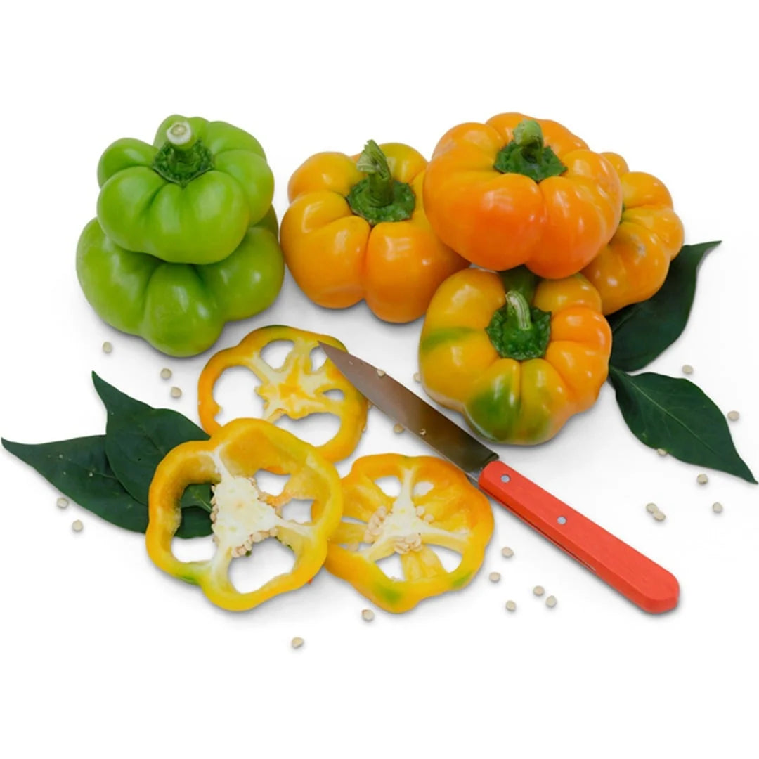 Sweet Pepper Paradicsom Alaku