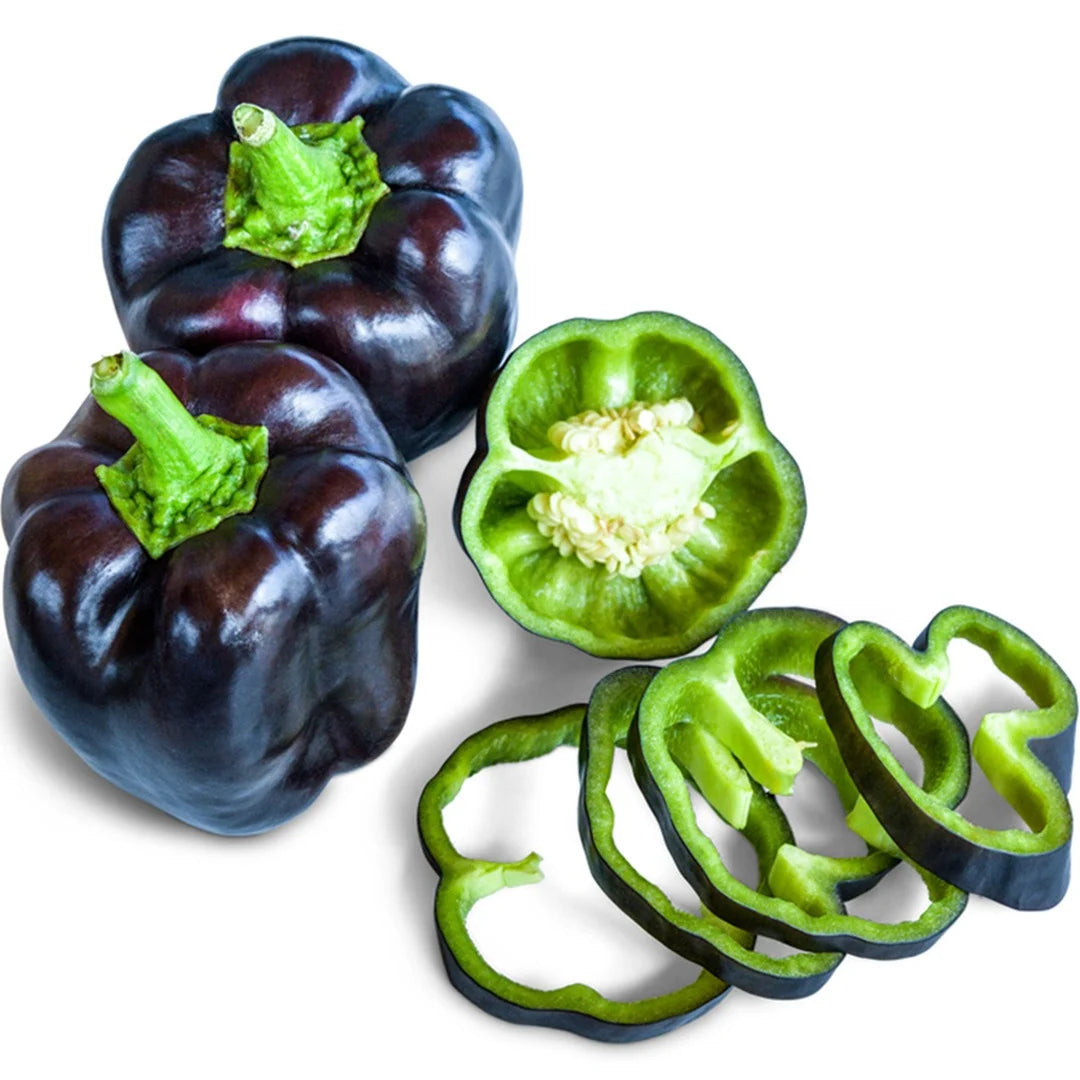 Sweet Pepper Purple Beauty