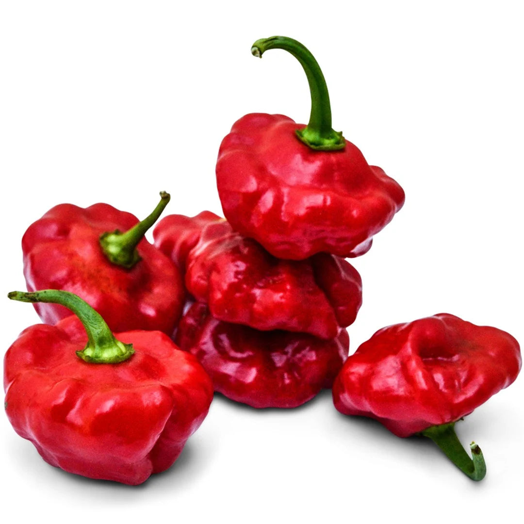 Sweet Pepper Sweet Bonnet