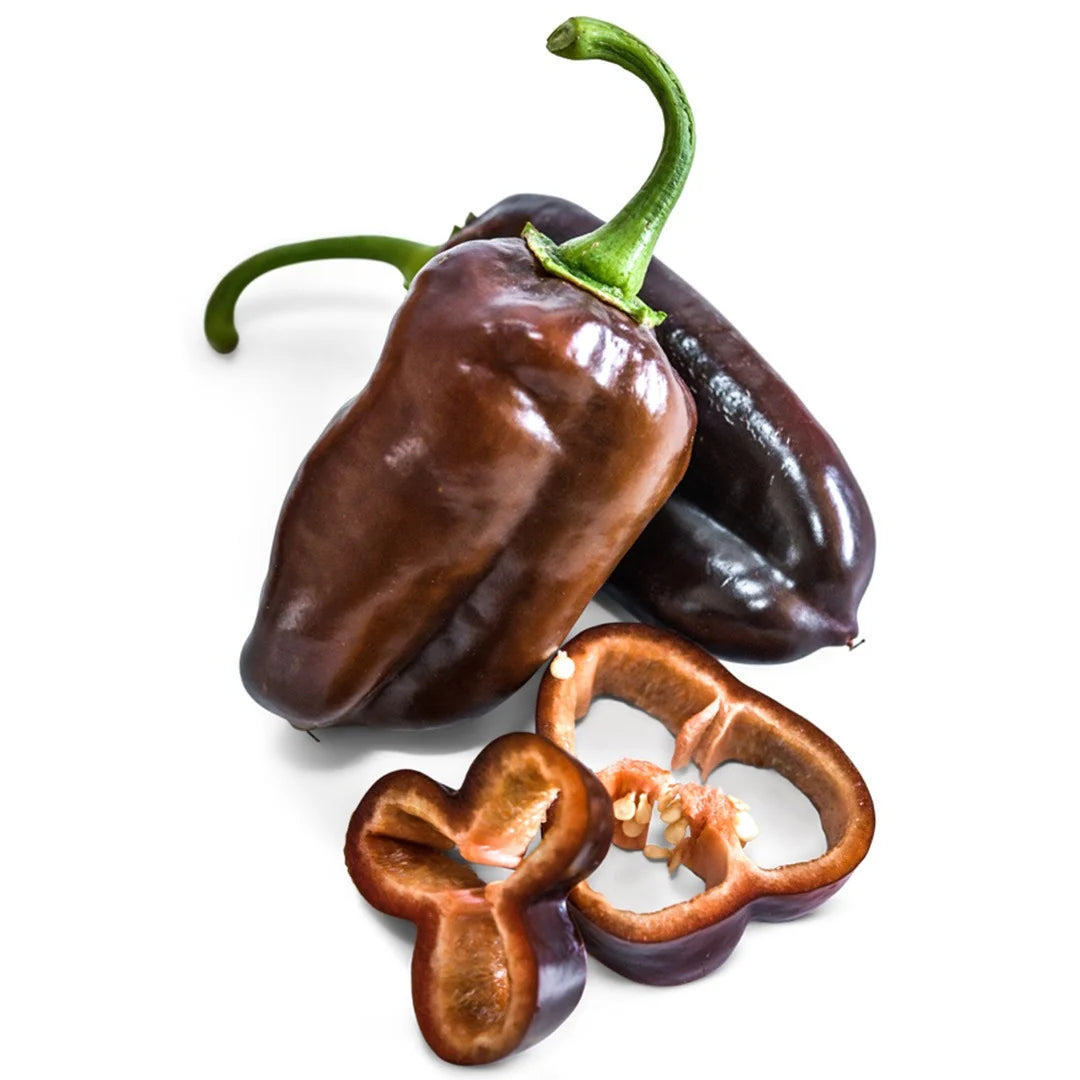 PEPPER SWEET CHOCOLATE