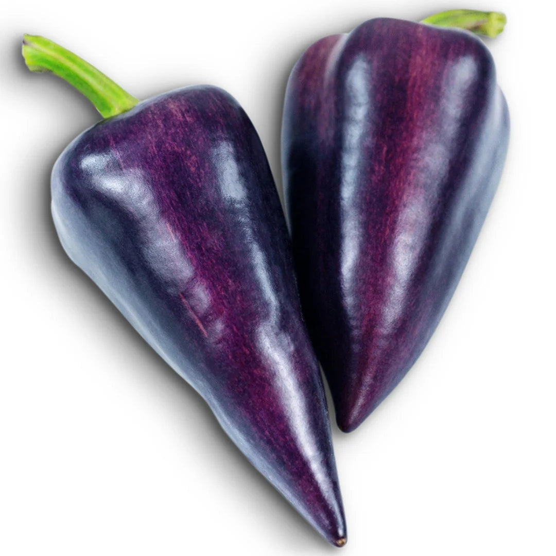 Sweet Pepper Violet Sparkle