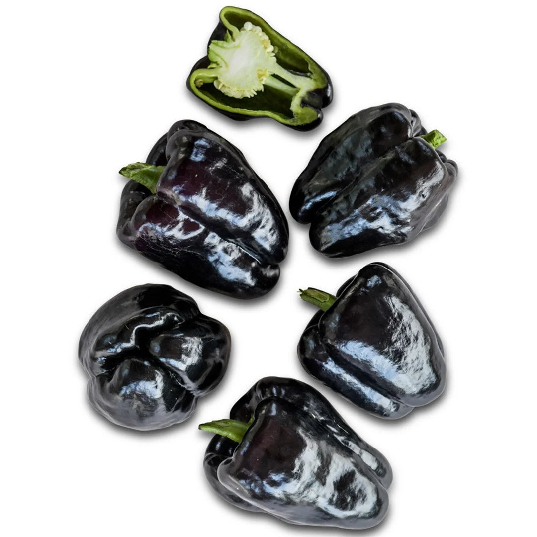 Sweet Pepper Zulu