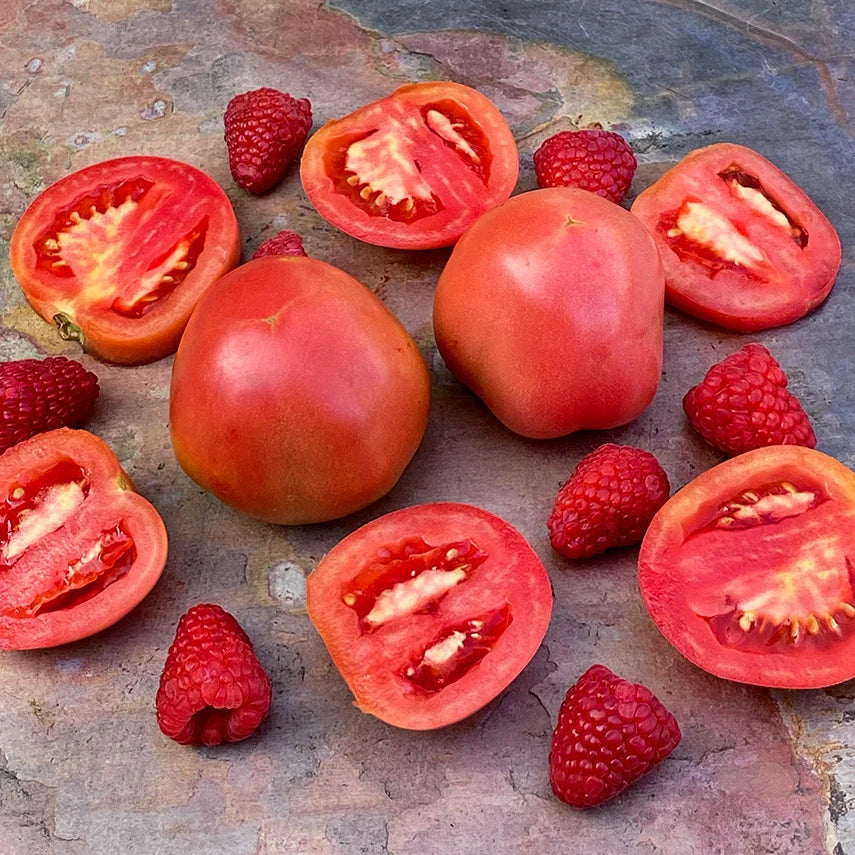 TOMATO RASPBERRY LYANNA
