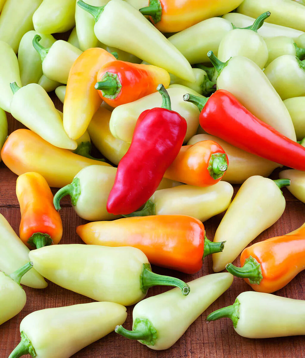 PEPPER SANTA FE GRANDE