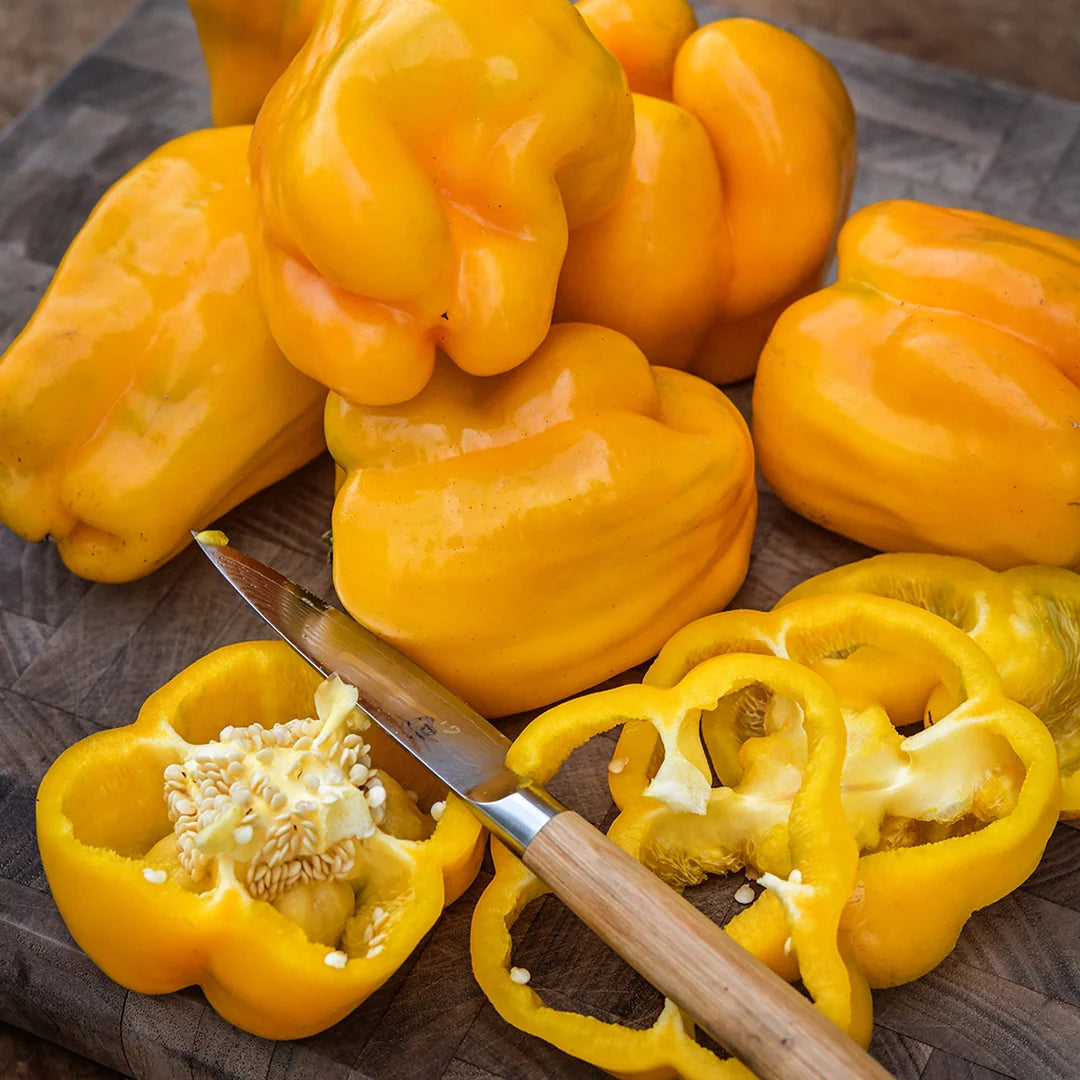 Sweet Pepper Seeds, Goldenmane Lion