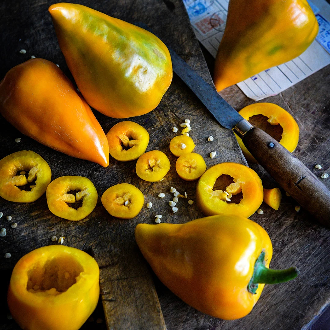 Sweet Pepper Orange Lesya