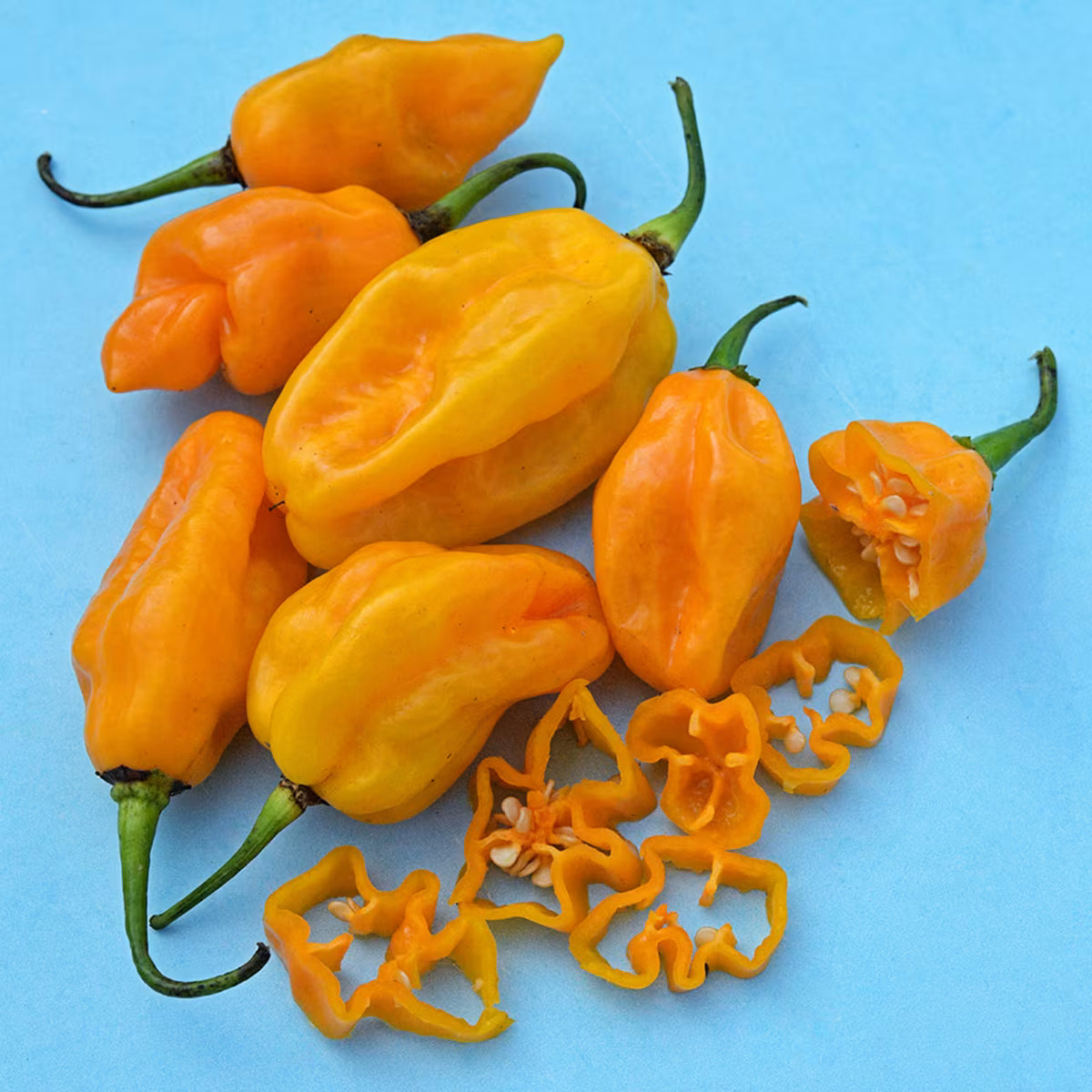 Hot Pepper Ojeenmma