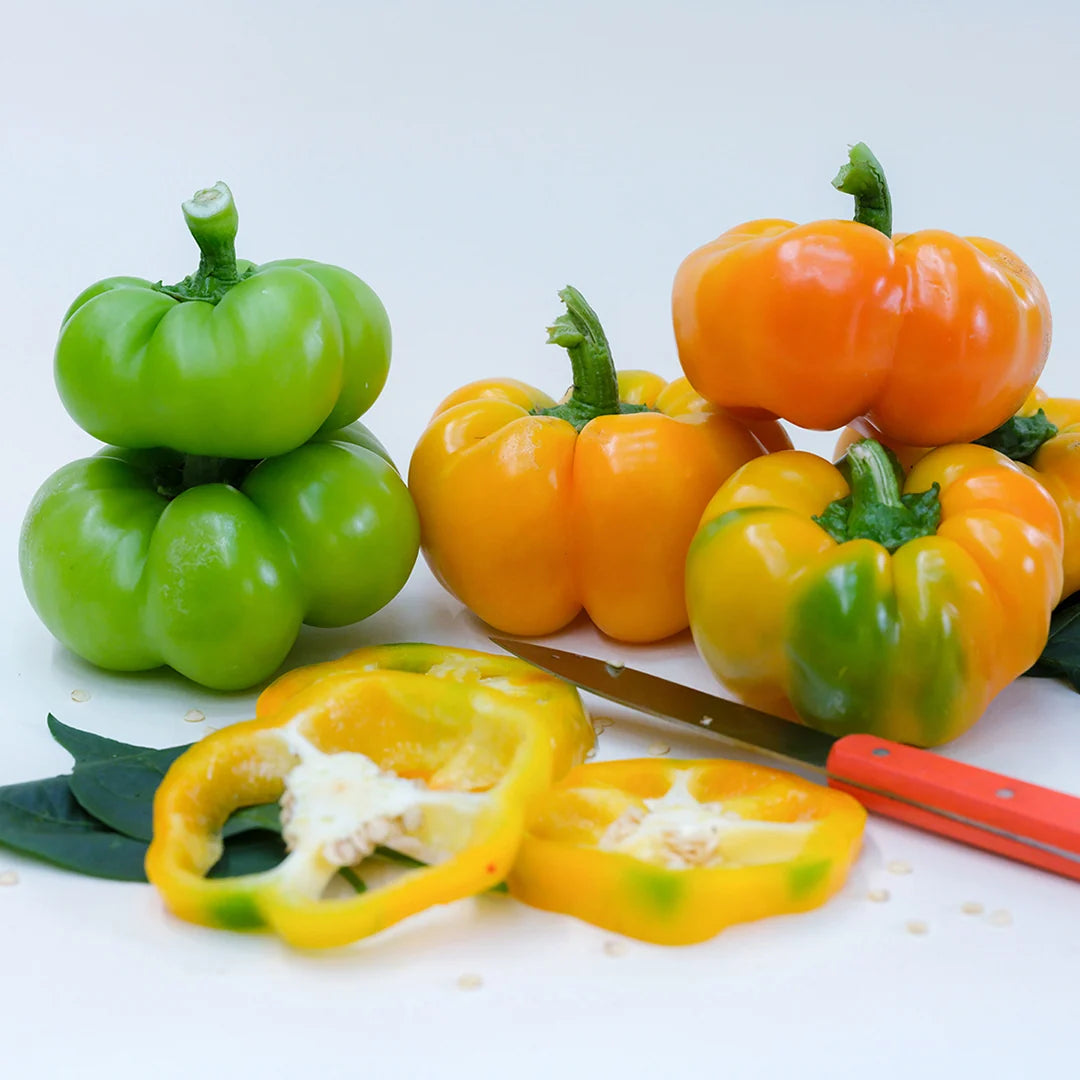 Sweet Pepper Paradicsom Alaku
