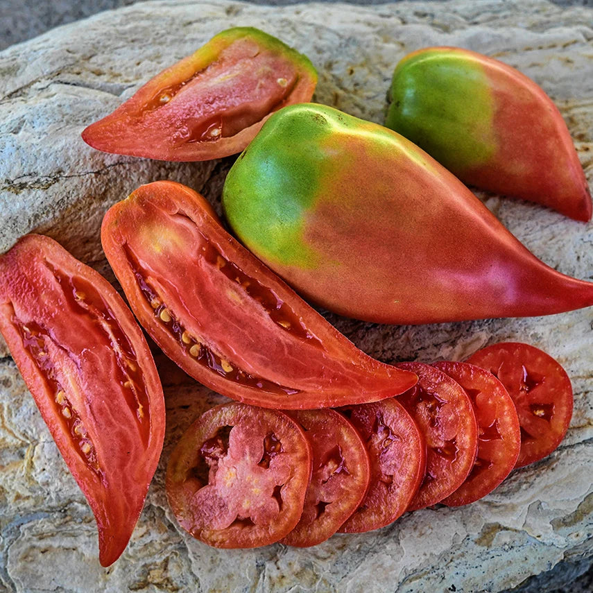 TOMATO KOREAN LONG