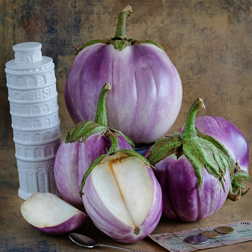 Eggplant Rosa Bianca