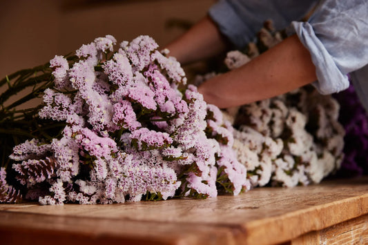 Statice SC'*.FOREVER HAPPY, Limonium sinuatur