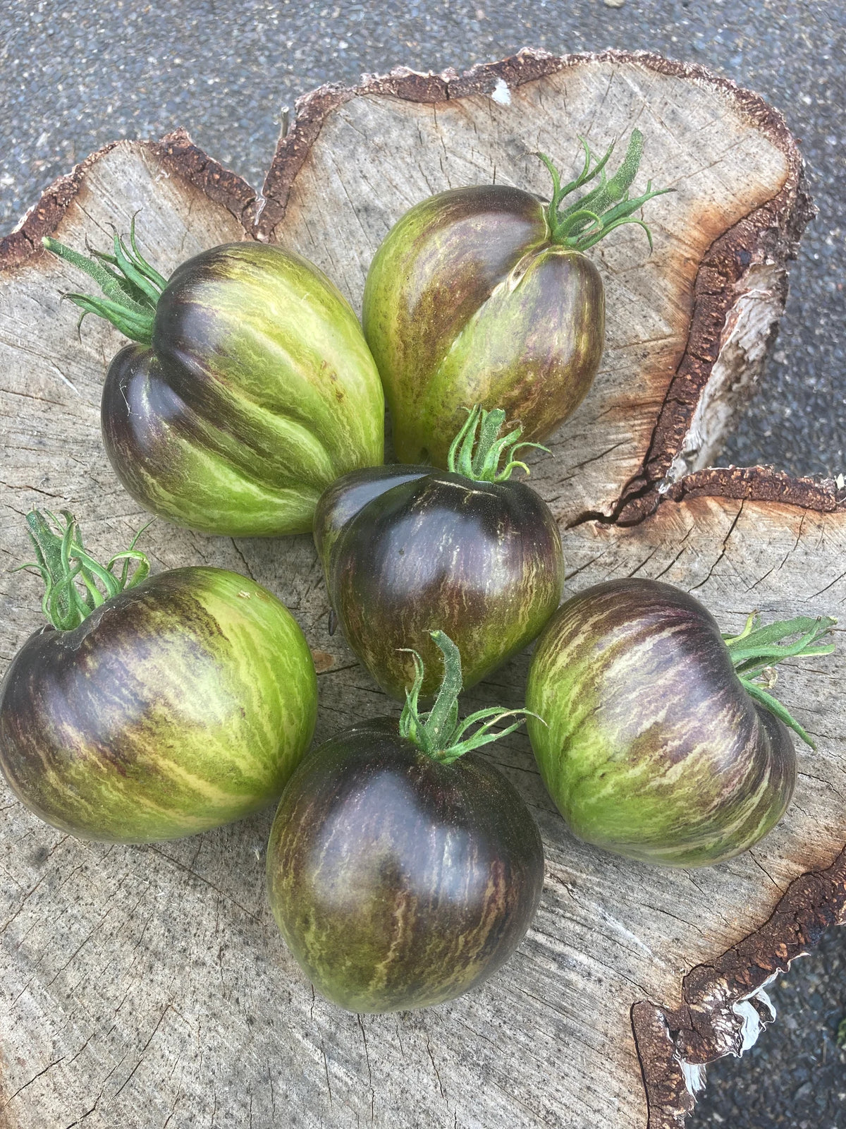 Rebel Starfighter VT16
