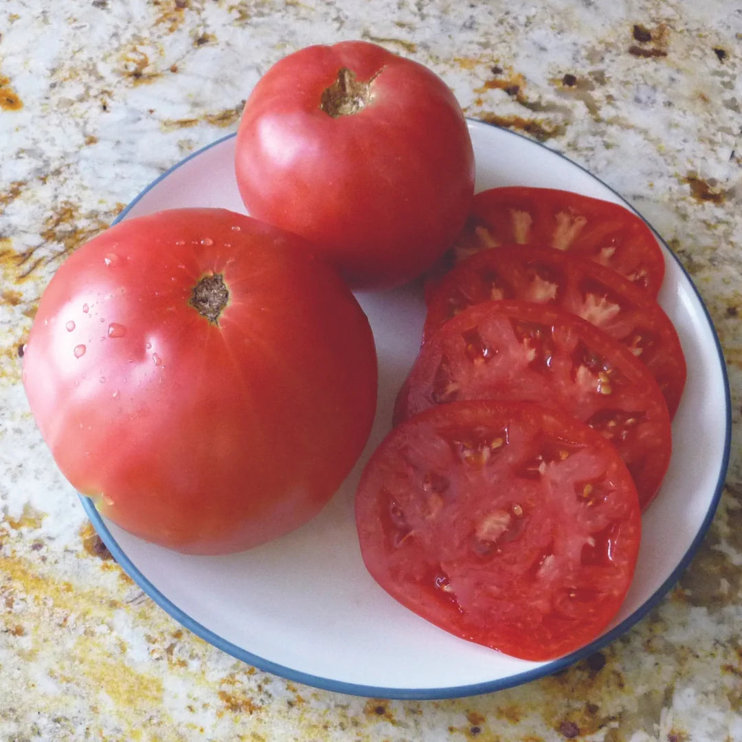 TOMATO Cranny Cantrells
