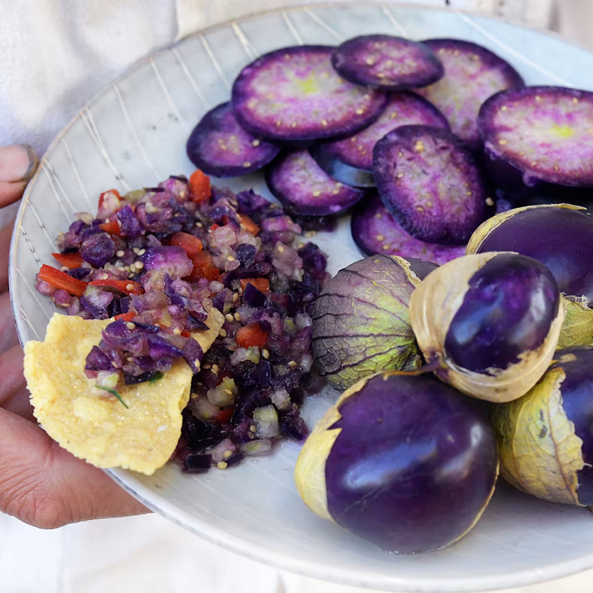 TOMATILLO PURPLE