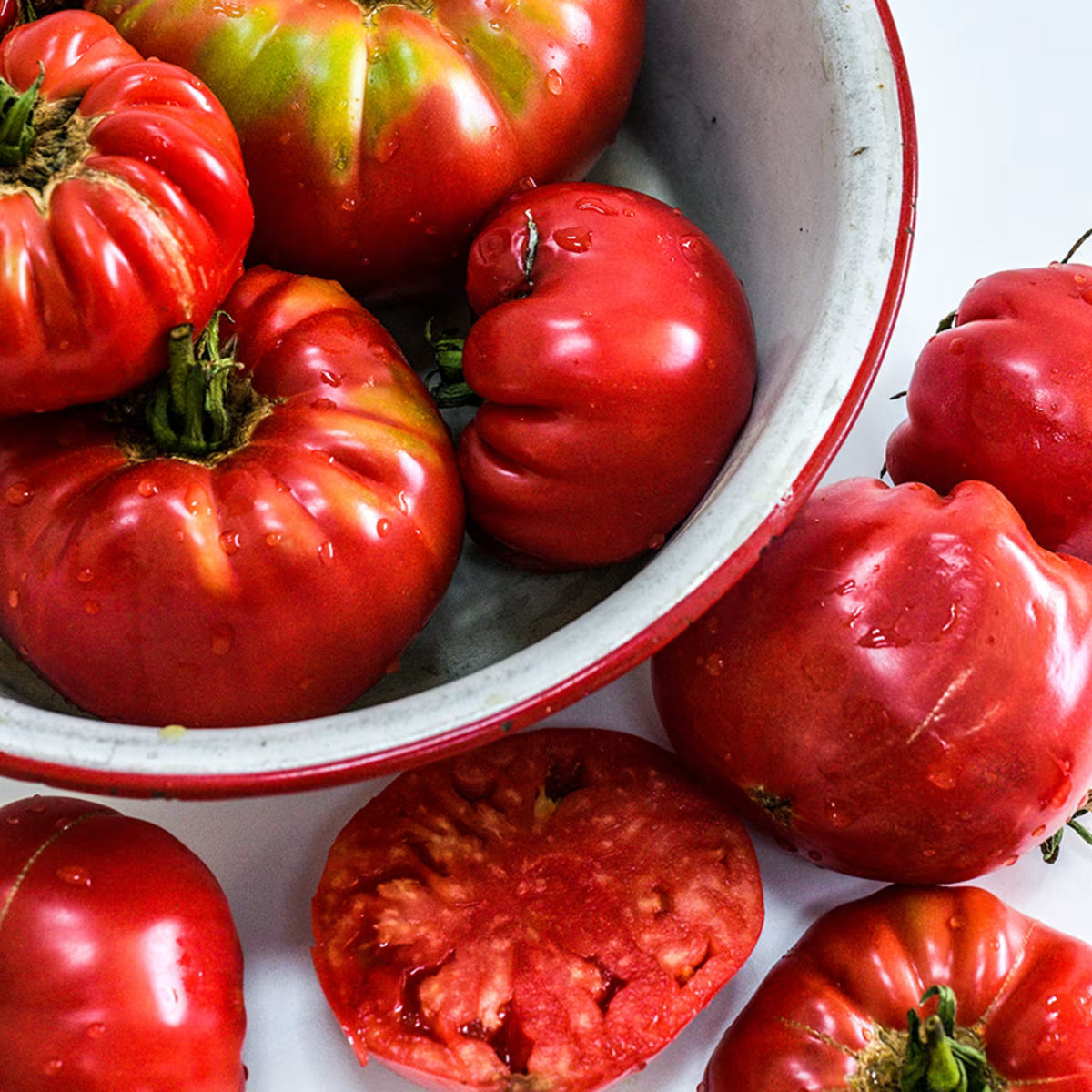 TOMATO ABE LINGOLN