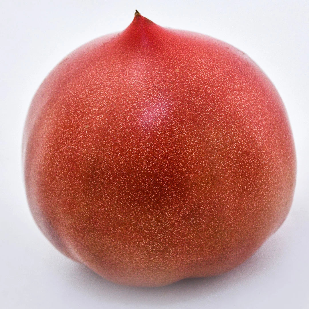TOMATO ACHI