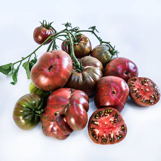 TOMATO BERKELEY TIE DYE PINK