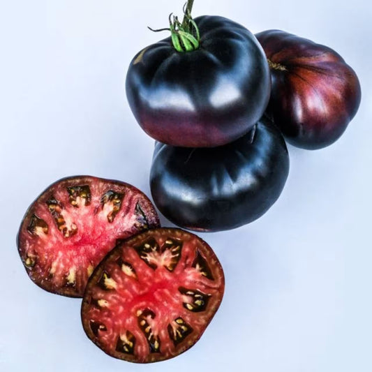 TOMATO BLACK BEAUTY