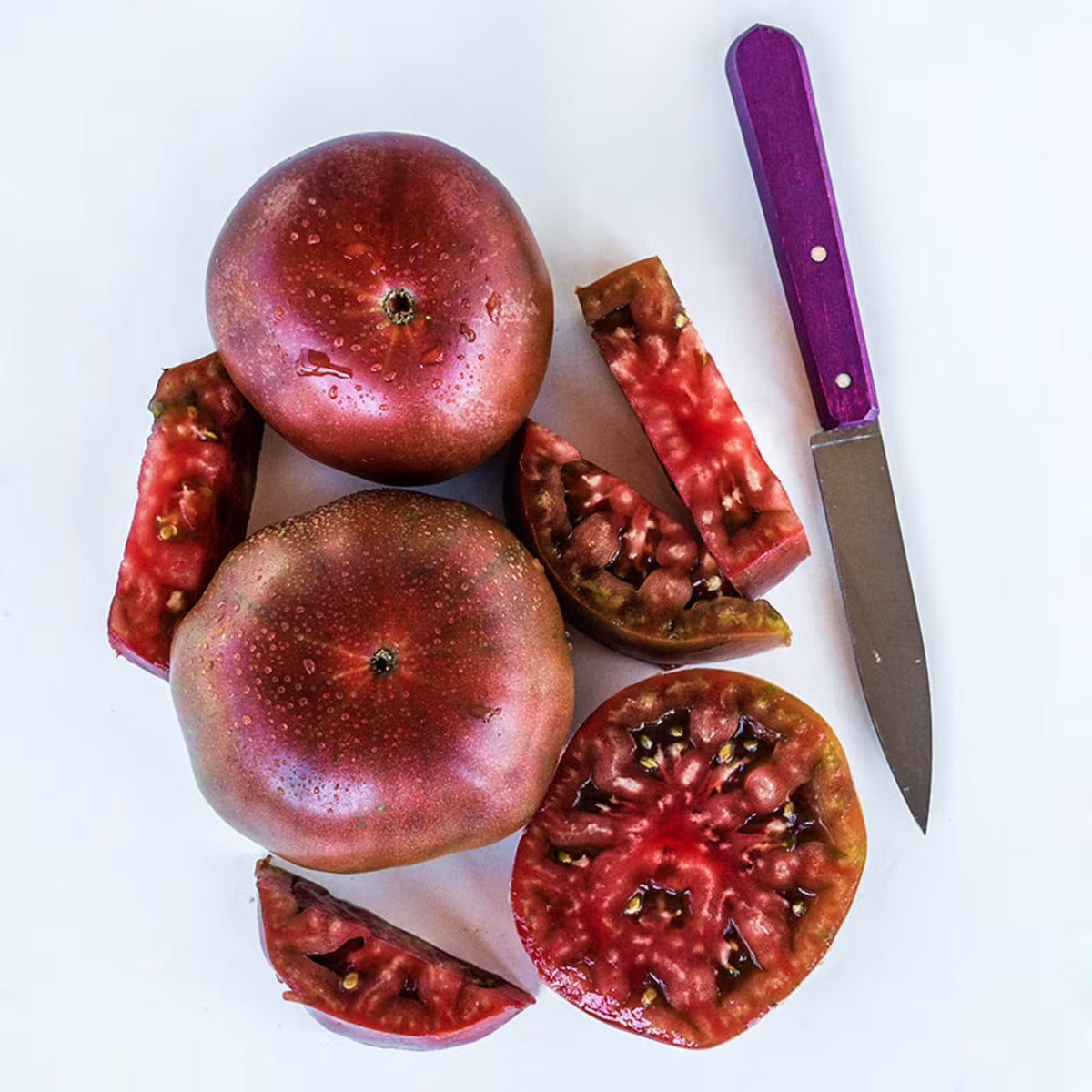 TOMATO BLACK KRIM