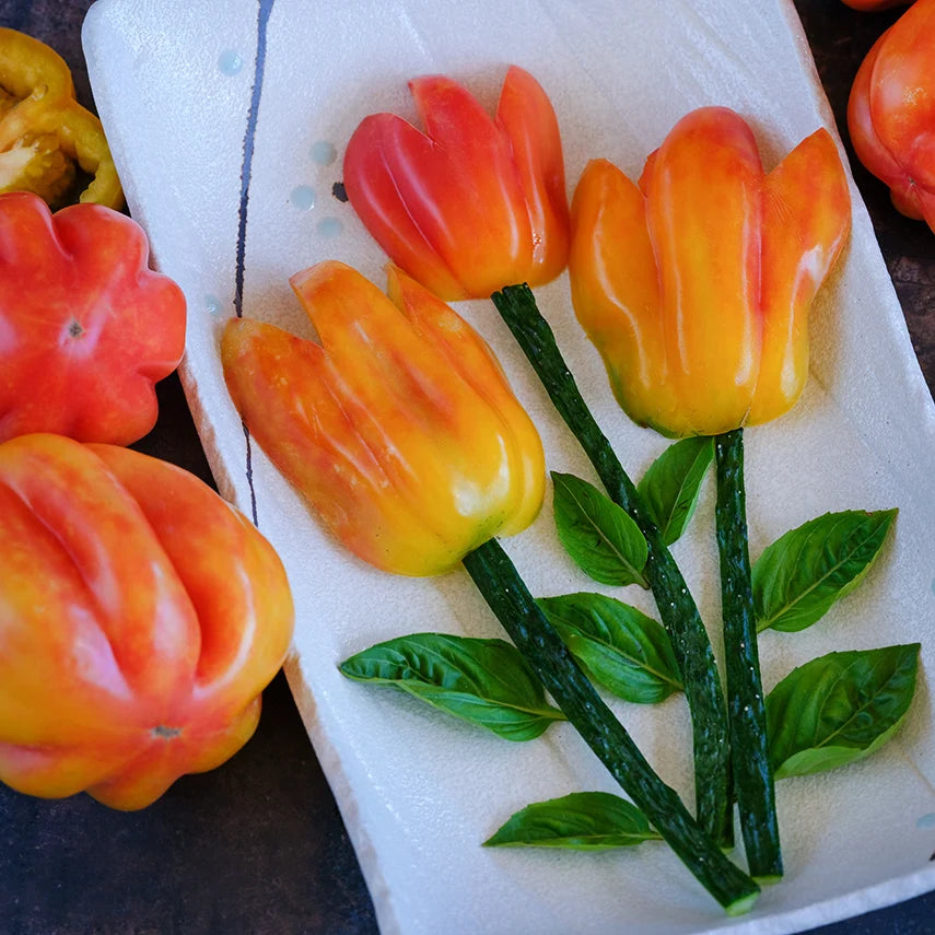 TOMATO CALIFORNIA TULIP
