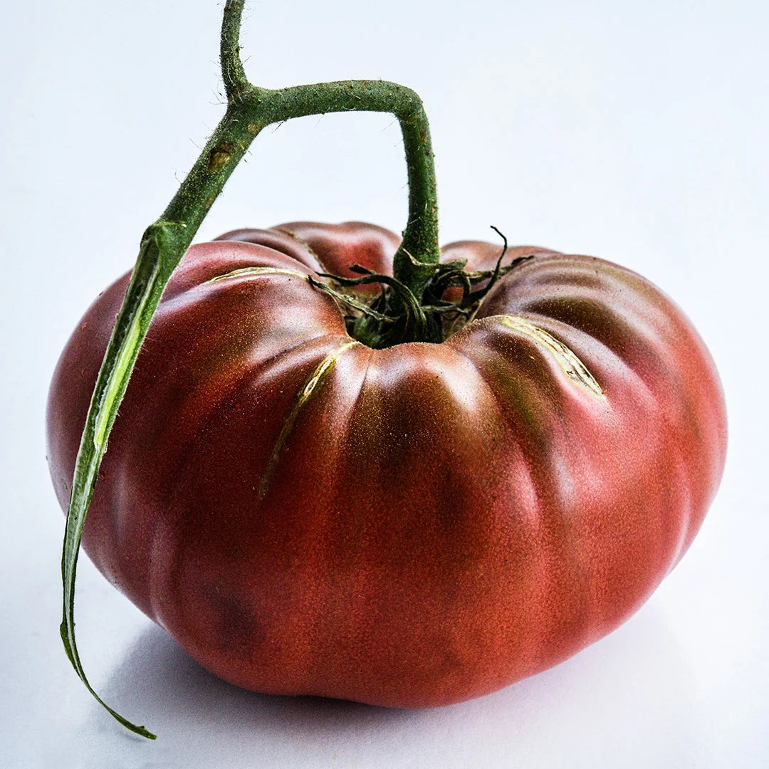 TOMATO CHOCOLATE MIRACLE
