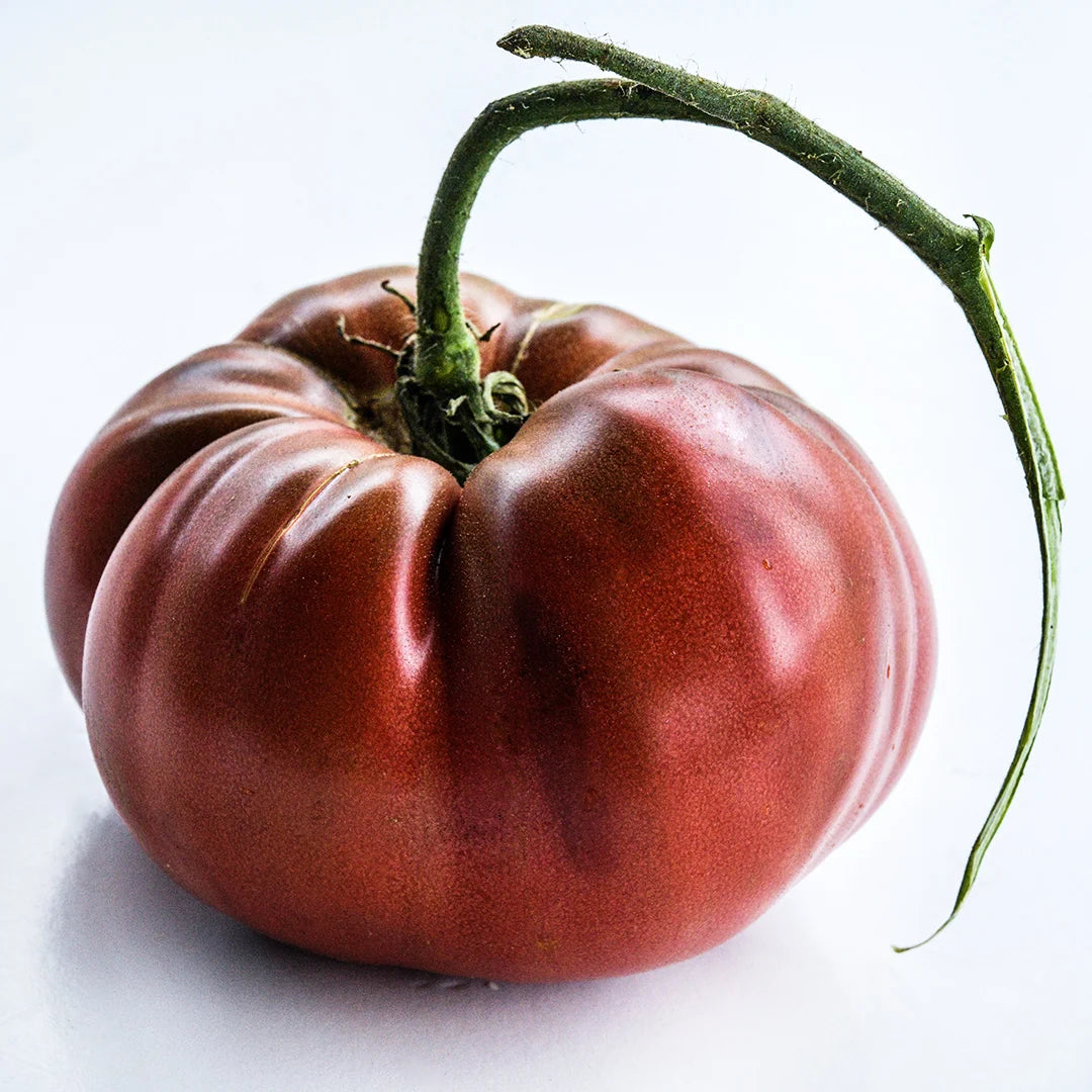 TOMATO CHOCOLATE MIRACLE