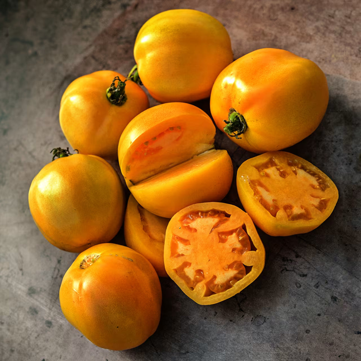 TOMATO DAD'S SUNSET