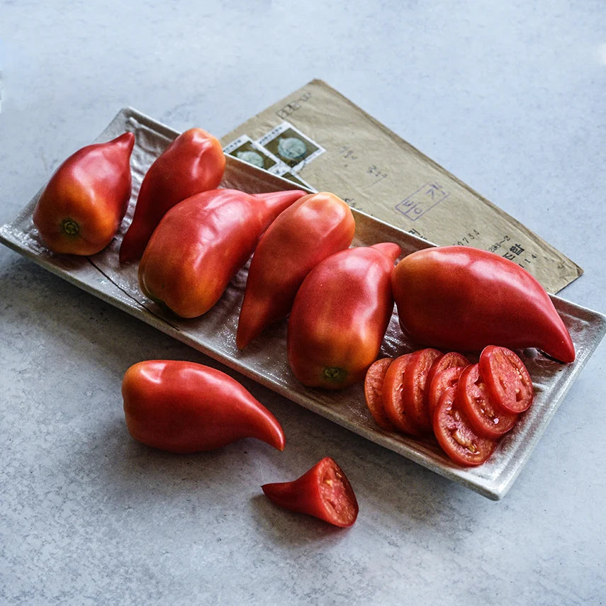 TOMATO KOREAN LONG