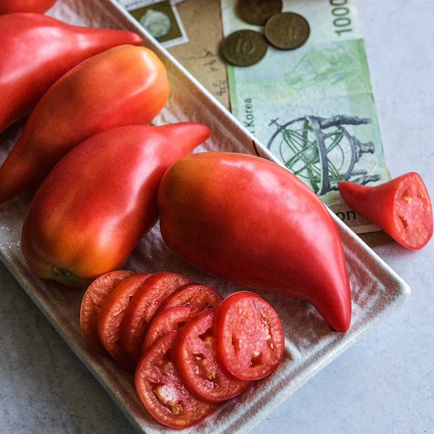 TOMATO KOREAN LONG