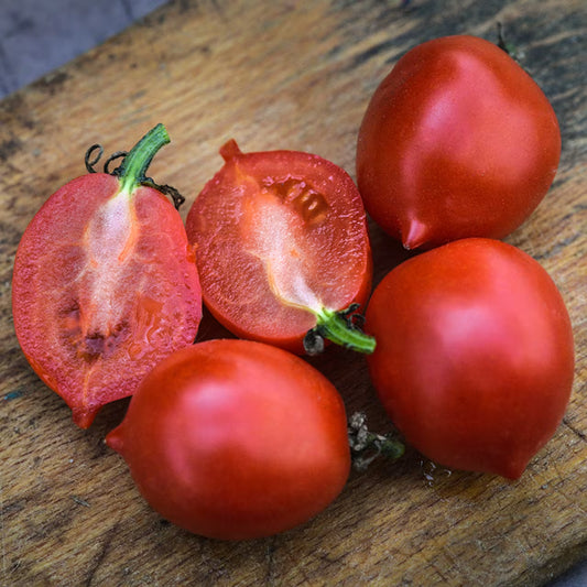 TOMATO PRINCIPE BORGHESE