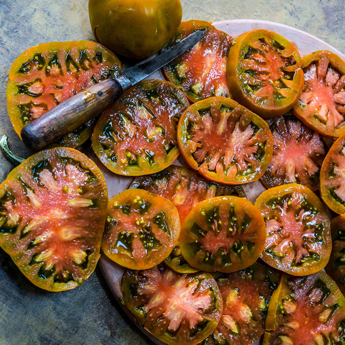 TOMATO THORBURN'S TERRA-COTTA